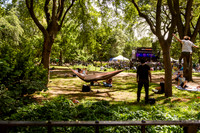 NYC SummerStage - Charlie Parker Jazz Festival - Dee Dee Bridgew
