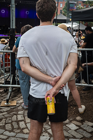 NYC SummerStage - Charlie Parker Jazz Festival - Dee Dee Bridgew
