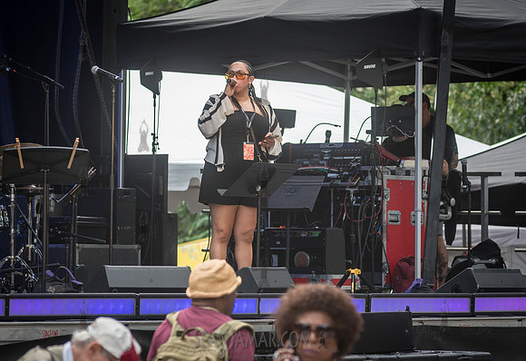 NYC SummerStage - Charlie Parker Jazz Festival - Dee Dee Bridgew