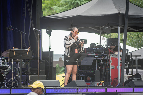 NYC SummerStage - Charlie Parker Jazz Festival - Dee Dee Bridgew