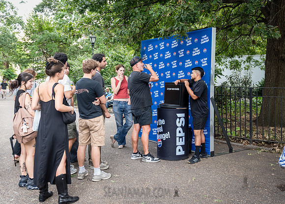NYC SummerStage - Charlie Parker Jazz Festival - Dee Dee Bridgew