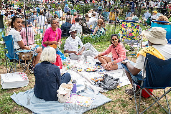 NYC SummerStage - Charlie Parker Jazz Festival - Dee Dee Bridgew