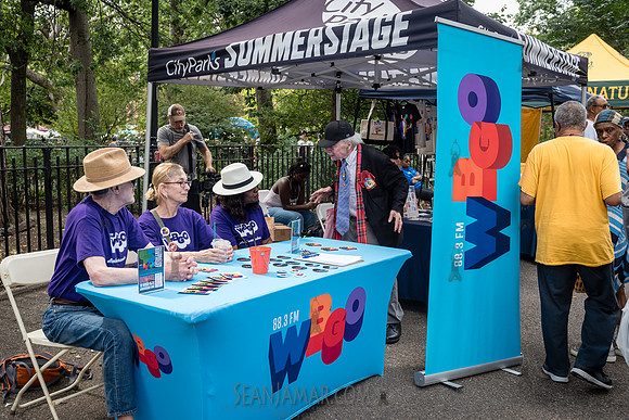 NYC SummerStage - Charlie Parker Jazz Festival - Dee Dee Bridgew