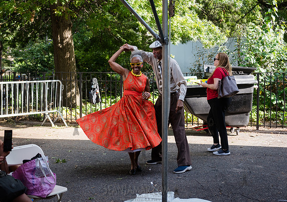 NYC SummerStage - Charlie Parker Jazz Festival - Dee Dee Bridgew
