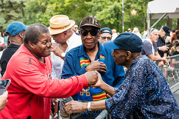 NYC SummerStage - Charlie Parker Jazz Festival - Dee Dee Bridgew