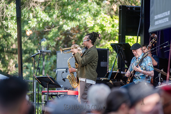 NYC SummerStage - Charlie Parker Jazz Festival - Dee Dee Bridgew