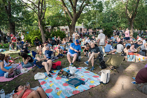 NYC SummerStage - Charlie Parker Jazz Festival - Dee Dee Bridgew