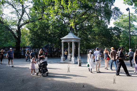 NYC SummerStage - Charlie Parker Jazz Festival - Dee Dee Bridgew