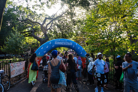 NYC SummerStage - Charlie Parker Jazz Festival - Dee Dee Bridgew