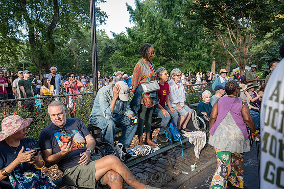 NYC SummerStage - Charlie Parker Jazz Festival - Dee Dee Bridgew