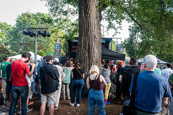 NYC SummerStage - Charlie Parker Jazz Festival - Dee Dee Bridgew