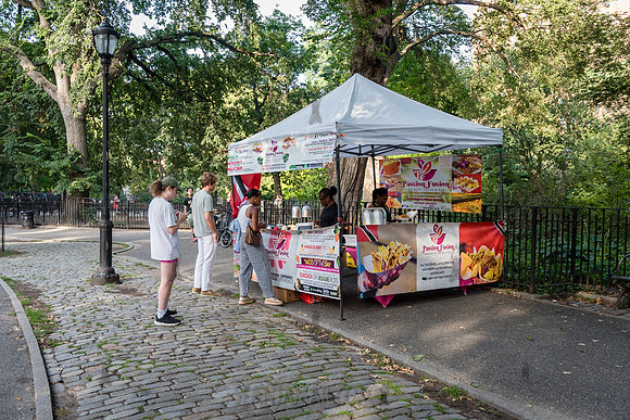 NYC SummerStage - Charlie Parker Jazz Festival - Dee Dee Bridgew