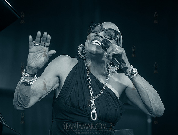 NYC SummerStage - Charlie Parker Jazz Festival - Dee Dee Bridgew