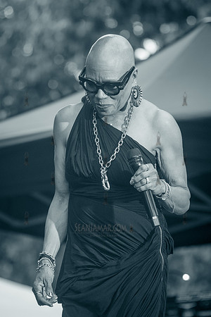 NYC SummerStage - Charlie Parker Jazz Festival - Dee Dee Bridgew