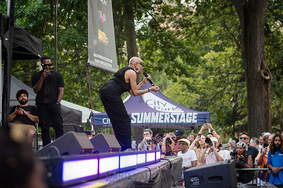 NYC SummerStage - Charlie Parker Jazz Festival - Dee Dee Bridgew