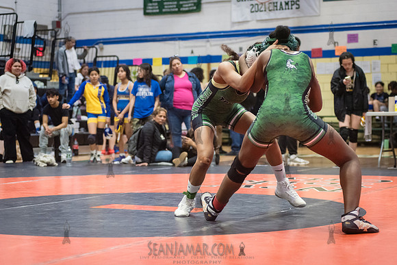 PSAL Girls Individual Championships - Harry S Truman HS - NYC -