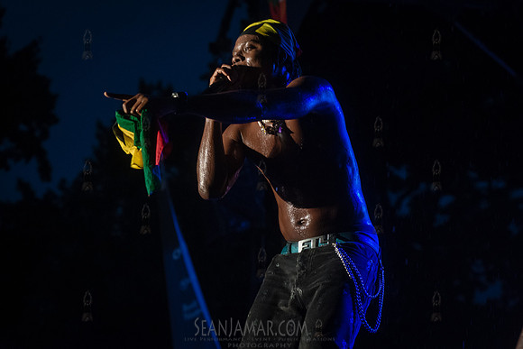 Dan Price The Artist - CPF SummerStage - GhanaFest - Crotona Par