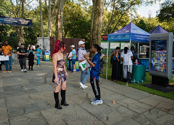 NYC SummerStage - Japan Champloo in the Park - Rumsey Playfield