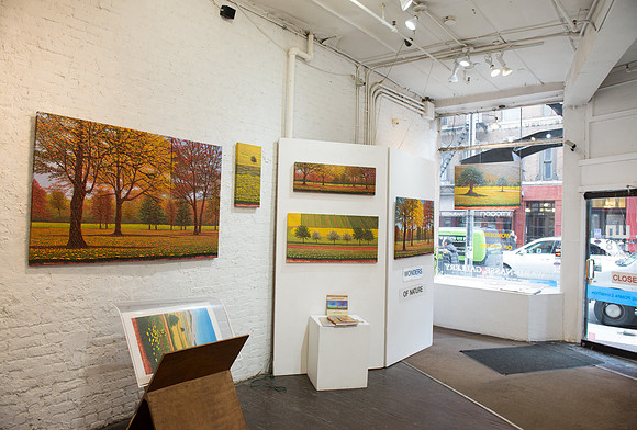 Gene Pompa  - Panel Shots - Ward Nasse Gallery - SOHO NYC - April 2015