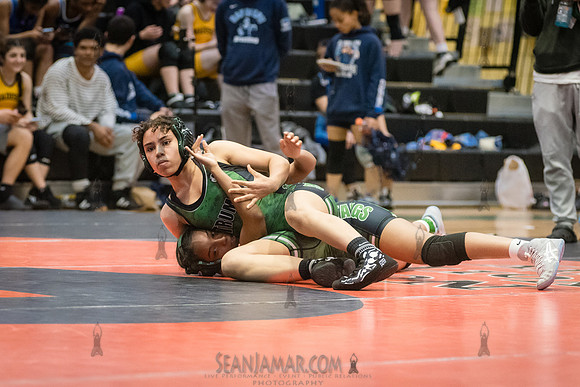 PSAL Girls Individual Championships - Harry S Truman HS - NYC -