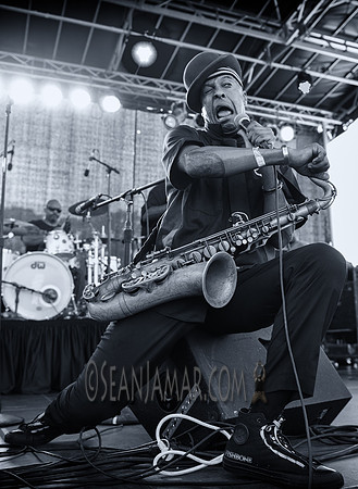 Fishbone - Afropunk Festival - Commodore Barry Park - BK USA - 2014