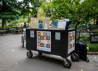 NYC GreenFund - Washington Square Park Alliance - Teaching Artis
