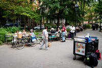 NYC GreenFund - Washington Square Park Alliance - Teaching Artis