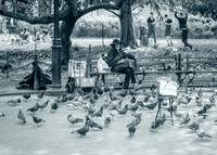Adventure Day - Washington Square Park - NYC - 2025