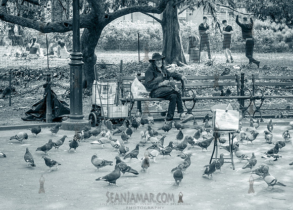 Adventure Day - Washington Square Park - NYC - 2025