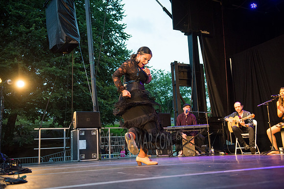 Nelida Tirado - Made in the Bronx presented by BAAD - St Marys Park - BX NYC - 2017