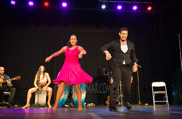 Nelida Tirado - Made in the Bronx presented by BAAD - St Marys Park - BX NYC - 2017