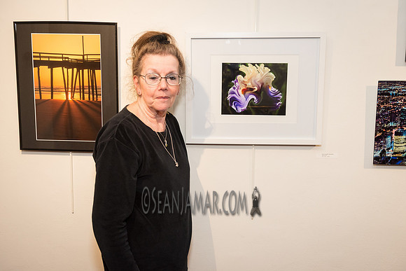 TCC - Through Our Eyes - Sandy Bennett Art Gallery - Bergen PAC - Englewood NJ - 2018