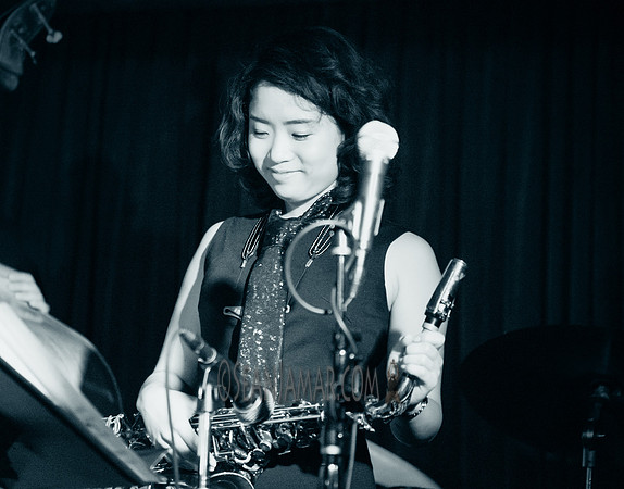 Ms Blu - Zinc Bar - NYC - 2016
