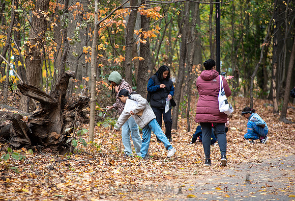 CPF Learn - Seeds To Trees - Prospect Park - NYC - 2024