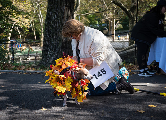 Riverside Park Conservancy - Halloween Pup Parade - Riverside Pa