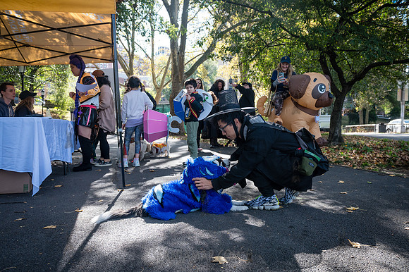 Riverside Park Conservancy - Halloween Pup Parade - Riverside Pa
