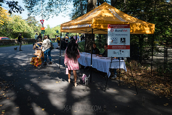 Riverside Park Conservancy - Halloween Pup Parade - Riverside Pa