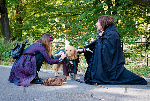 Riverside Park Conservancy - Halloween Pup Parade - Riverside Pa