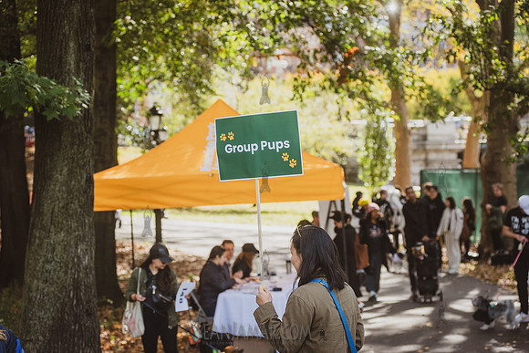 Riverside Park Conservancy - Halloween Pup Parade - Riverside Pa