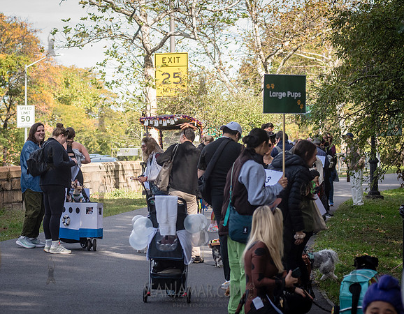 Riverside Park Conservancy - Halloween Pup Parade - Riverside Pa