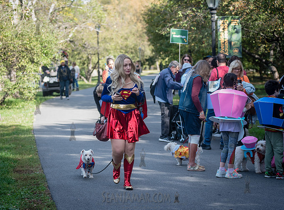 Riverside Park Conservancy - Halloween Pup Parade - Riverside Pa