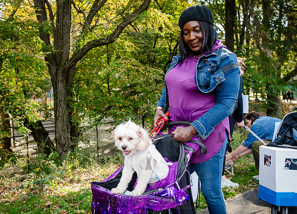 Riverside Park Conservancy - Halloween Pup Parade - Riverside Pa