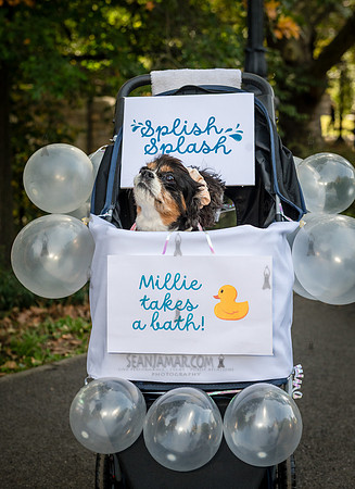 Riverside Park Conservancy - Halloween Pup Parade - Riverside Pa