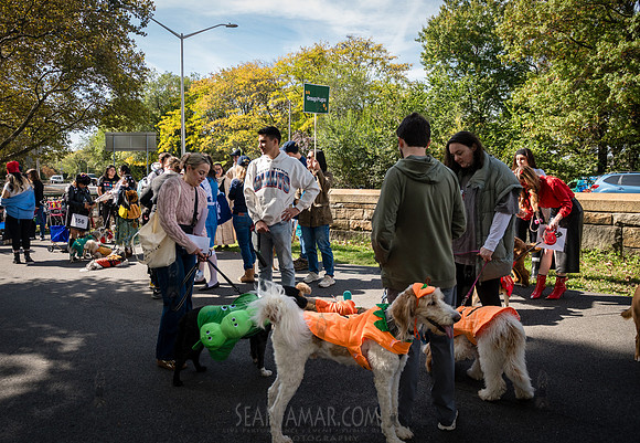 Riverside Park Conservancy - Halloween Pup Parade - Riverside Pa