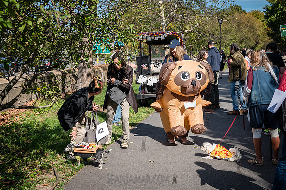 Riverside Park Conservancy - Halloween Pup Parade - Riverside Pa