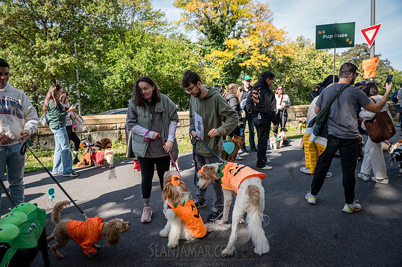 Riverside Park Conservancy - Halloween Pup Parade - Riverside Pa