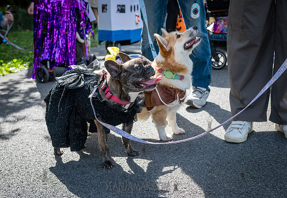 Riverside Park Conservancy - Halloween Pup Parade - Riverside Pa