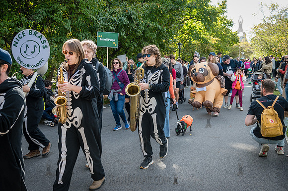 Riverside Park Conservancy - Halloween Pup Parade - Riverside Pa