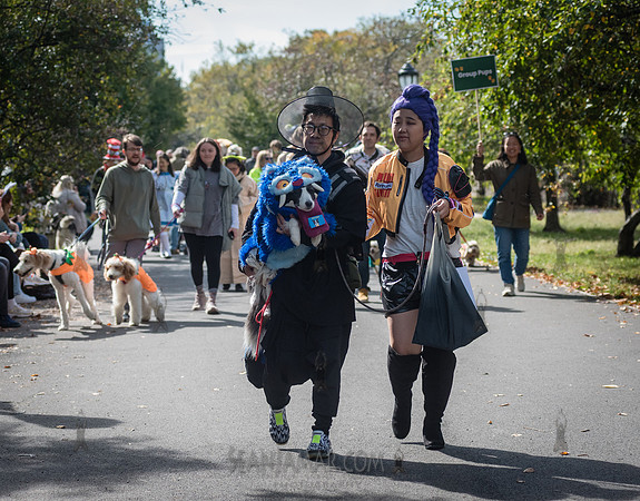 Riverside Park Conservancy - Halloween Pup Parade - Riverside Pa