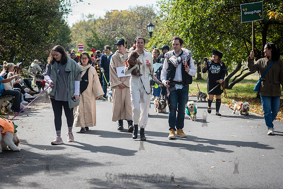 Riverside Park Conservancy - Halloween Pup Parade - Riverside Pa